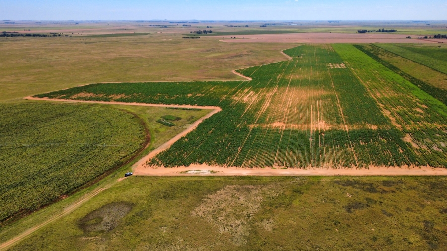 Commercial Property for Sale in Bloemfontein Rural Free State